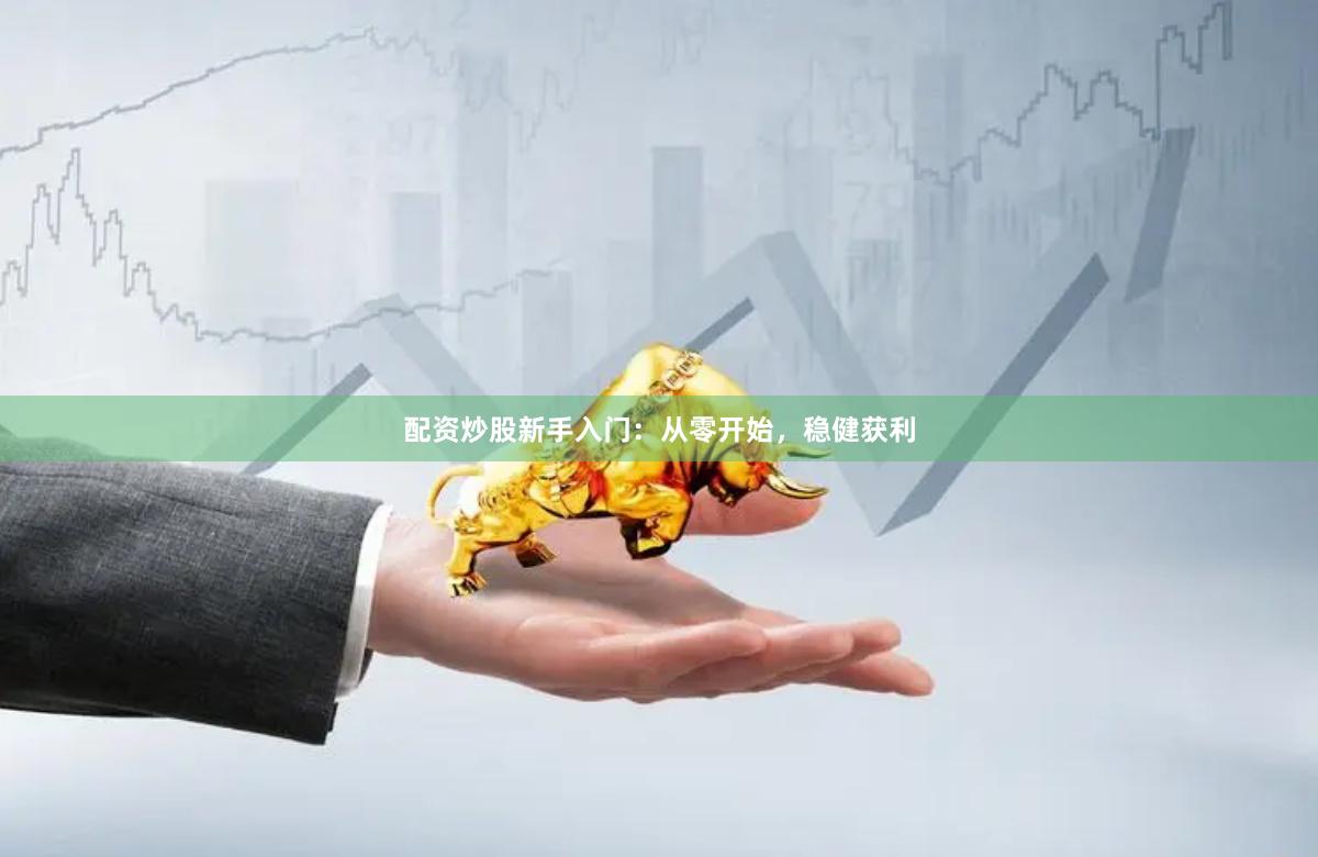 配资炒股新手入门：从零开始，稳健获利