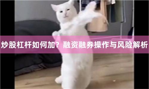 炒股杠杆如何加？融资融券操作与风险解析